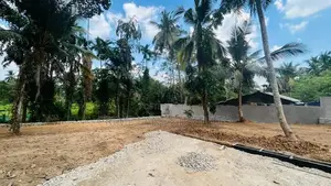 රාජගිරිය හල්ගහදේණිය පාරෙන් බිම් කොටස් විකිණීමට