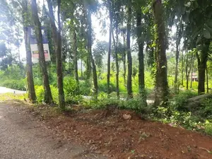 Residential land for sale in Nelundeniya