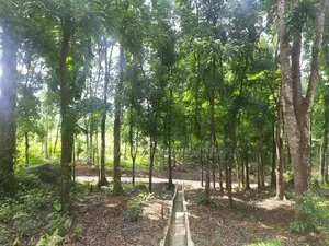 Residential land for sale in Nelundeniya