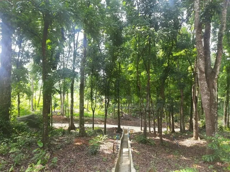 Residential land for sale in Nelundeniya