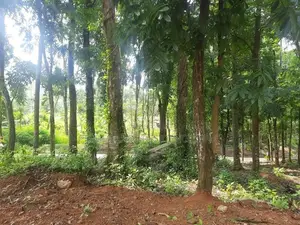 Residential land for sale in Nelundeniya