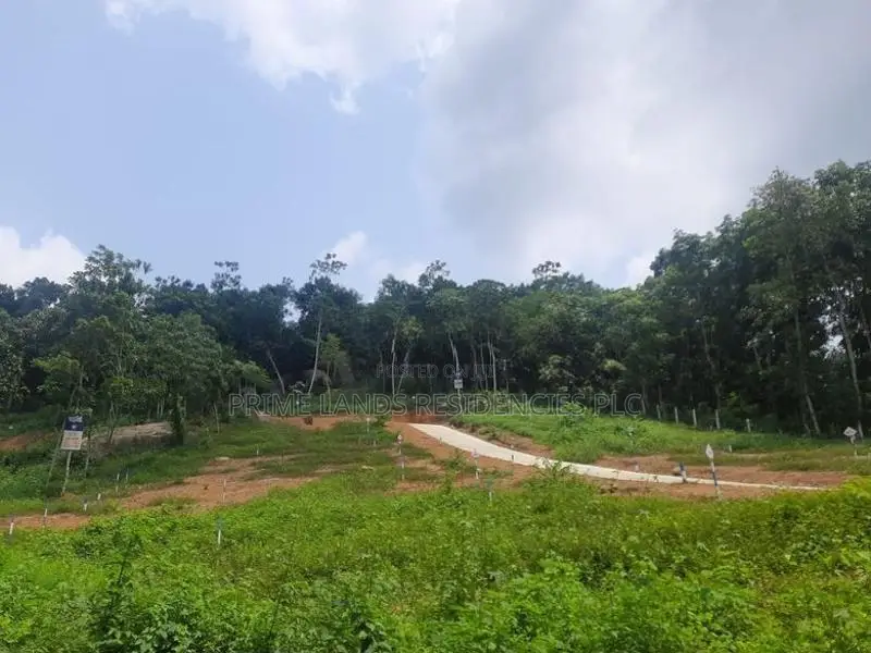Residential land for sale in Nelundeniya