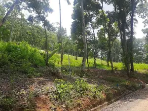 Residential land for sale in Nelundeniya