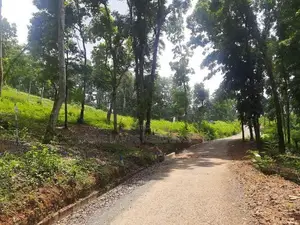 Residential land for sale in Nelundeniya