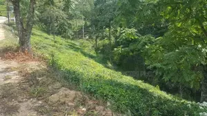 Land for sale in Pussellawa