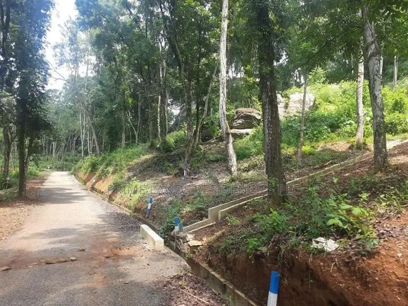 Residential land for sale in Nelundeniya