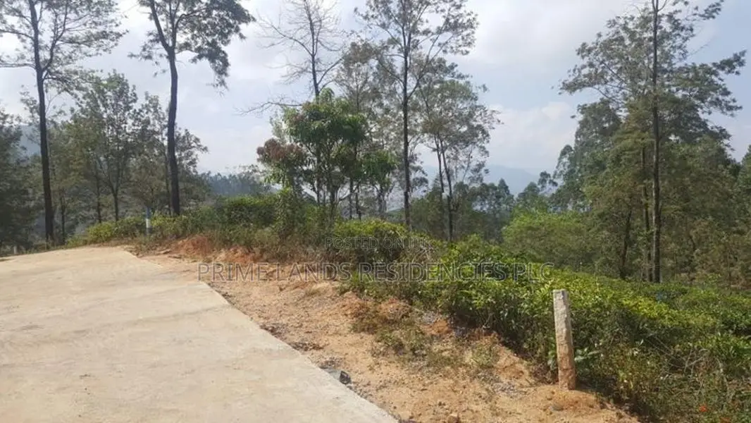 Land for sale in Pussellawa