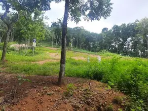 Residential land for sale in Nelundeniya