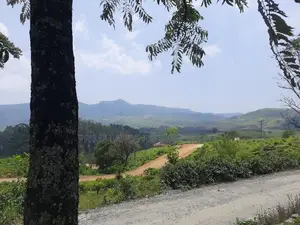Mountain view land for sale in Ramboda