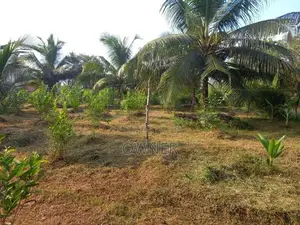 Land With House Sale in Baranakattuwa Mundalama