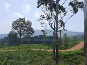 Mountain view land for sale in Ramboda