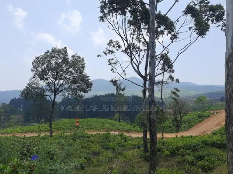 Mountain view land for sale in Ramboda