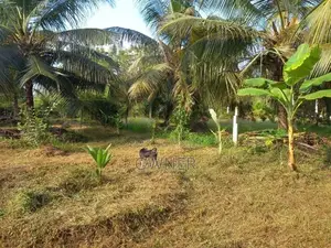 Land With House Sale in Baranakattuwa Mundalama