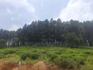Mountain view land for sale in Ramboda