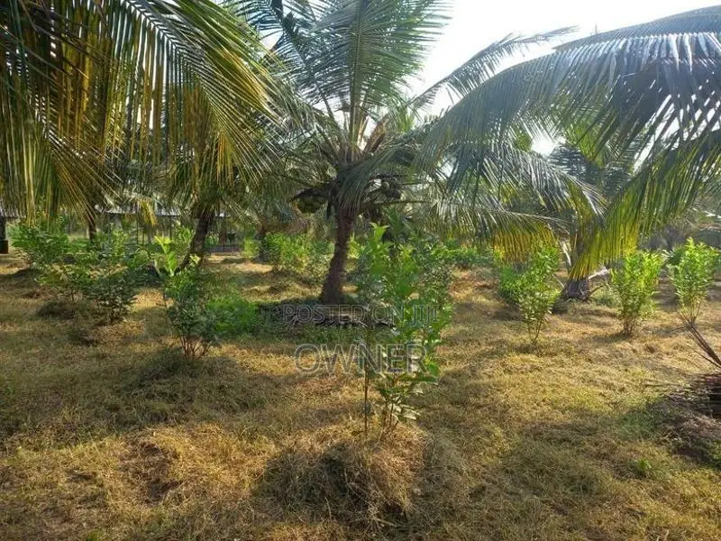Land With House Sale in Baranakattuwa Mundalama