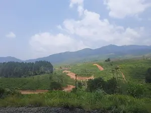 Mountain view land for sale in Ramboda