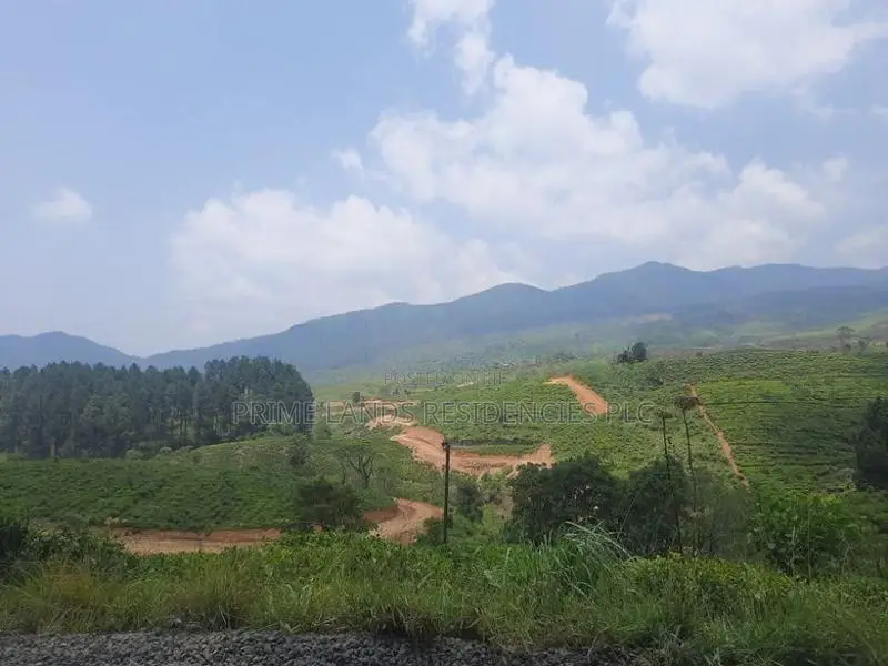 Mountain view land for sale in Ramboda