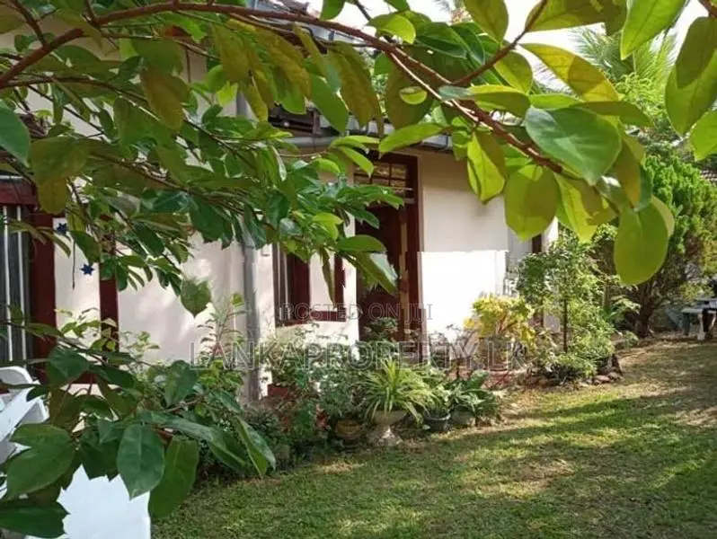 Valuable Land with House for Sale – Kirula Road, Narahenpita, Colombo 