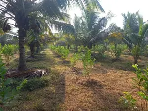 Land With House Sale in Baranakattuwa Mundalama