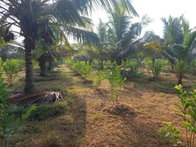 Land With House Sale in Baranakattuwa Mundalama