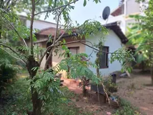 Valuable Land with House for Sale – Kirula Road, Narahenpita, Colombo 