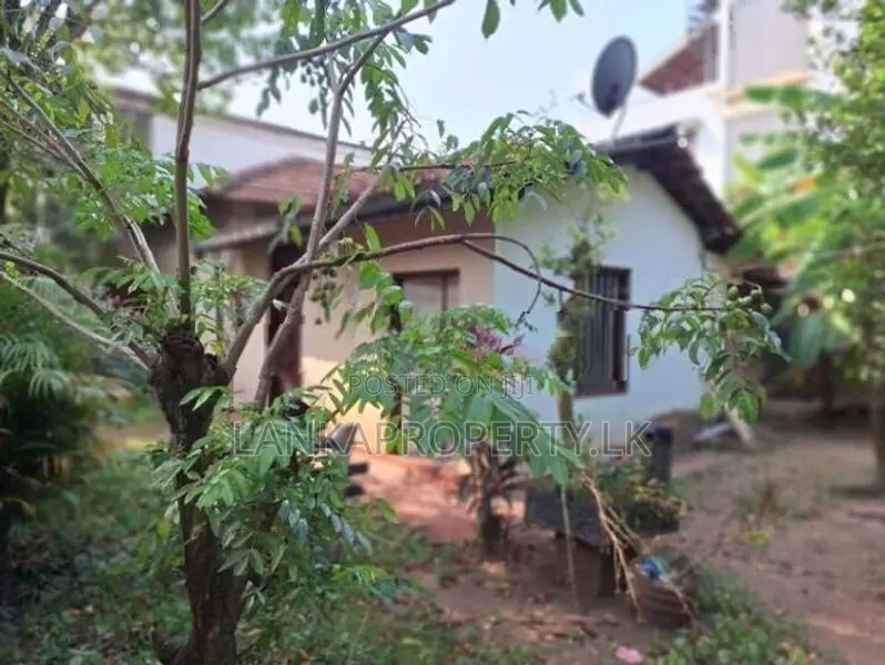 Valuable Land with House for Sale – Kirula Road, Narahenpita, Colombo 