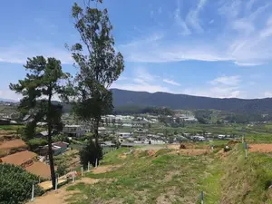 Valuable land for sale in Nuwaraeliya