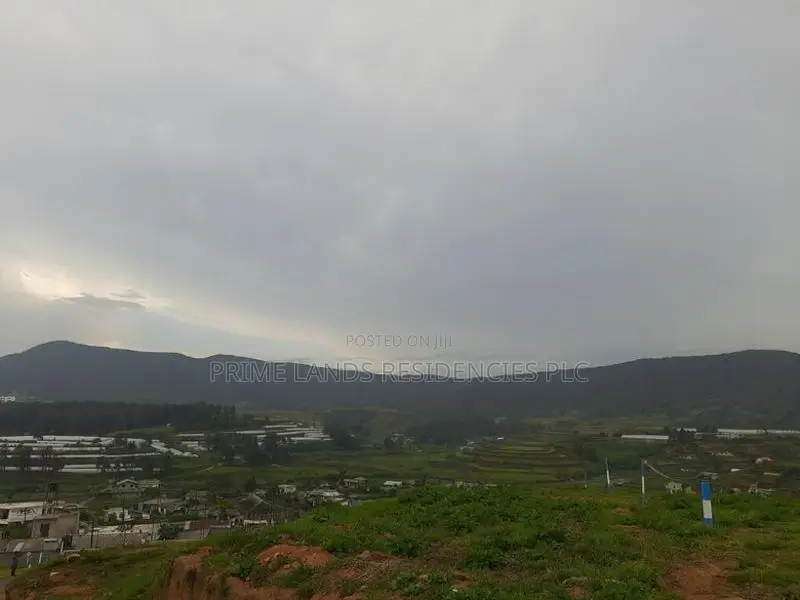 Valuable land for sale in Nuwaraeliya