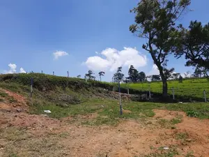 Valuable land for sale in Nuwaraeliya
