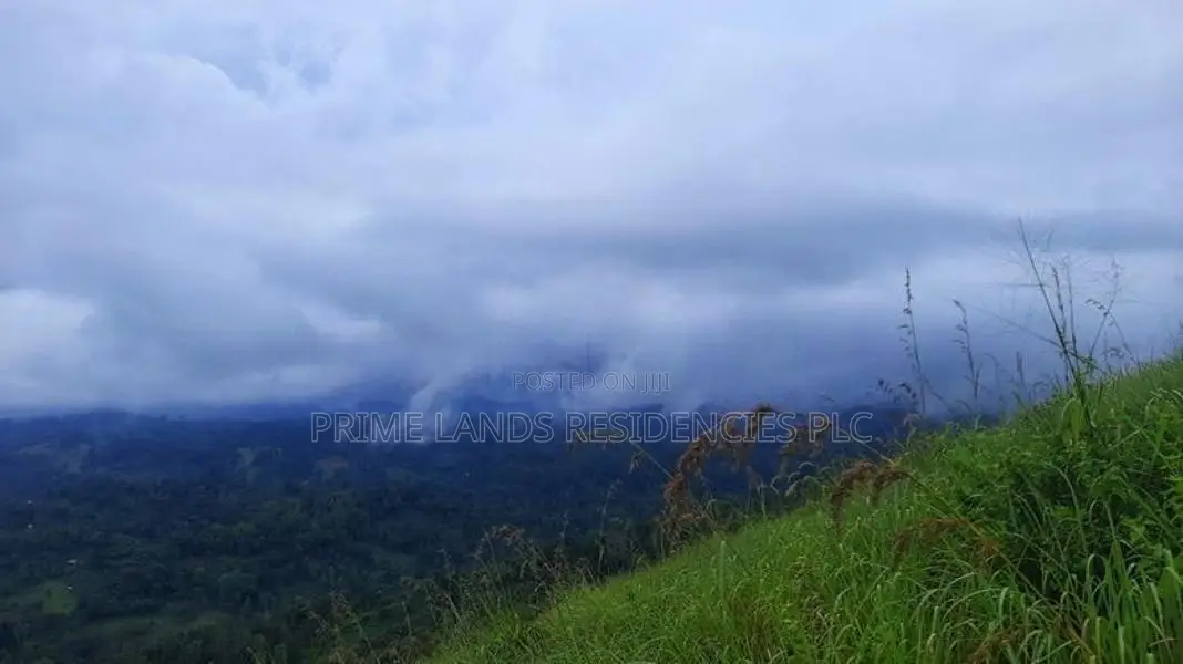 Valuable land for sale in Nillamba