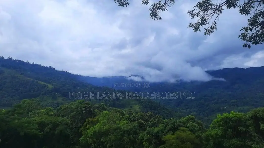 Valuable land for sale in Nillamba