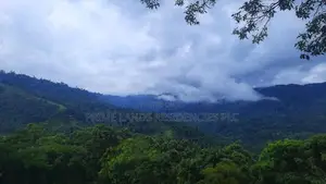 Valuable land for sale in Nillamba