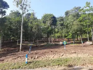Residential land for sale in Haragama, Sinharagama