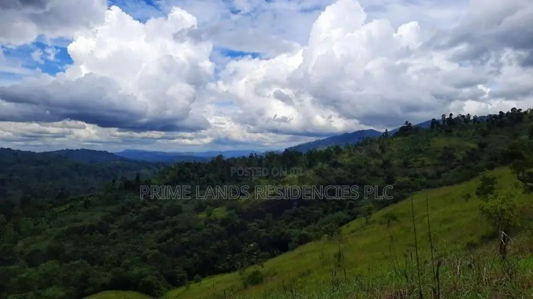 Valuable land for sale in Nillamba