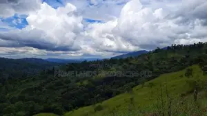 Valuable land for sale in Nillamba