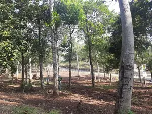 Residential land for sale in Haragama, Sinharagama