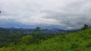 Valuable land for sale in Nillamba