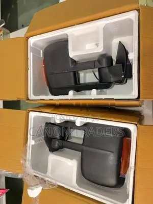 Ford Raptor Side Mirror