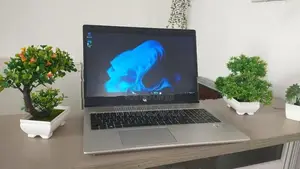 HP ProBook 450 G7 Core i7 10510U–10th GEN 8GB RAM 256GB NVMe SSD