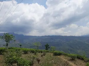 Land for sale in Pundaluoya