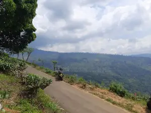 Land for sale in Pundaluoya