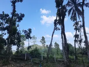 Residential Land for sale in Nelundeniya