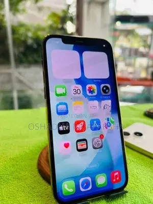 Apple iPhone 12 Pro 256GB (Used)