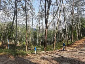 Residential Land for sale in Nelundeniya