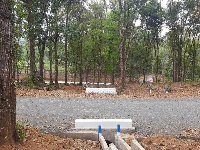 Residential Land for sale in Nelundeniya
