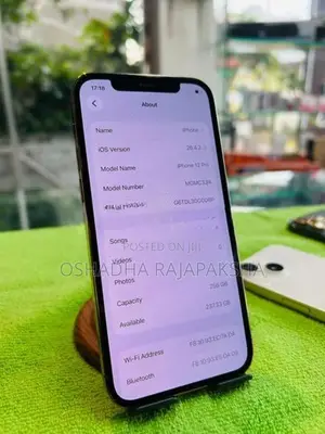 Apple iPhone 12 Pro 256GB (Used)