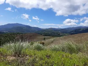 Mountain view land for sale in Nillamba