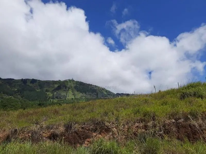 Mountain view land for sale in Nillamba