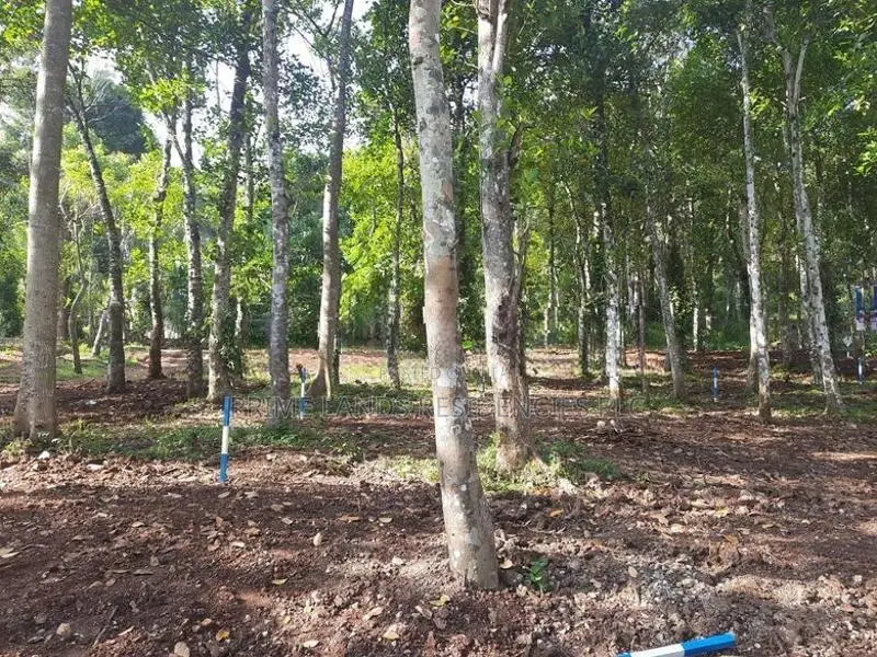 Land for sale in Haragama, Sinharagama