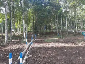 Land for sale in Haragama, Sinharagama